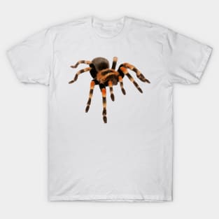 Tarantula T-Shirt